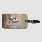 ガチョウの自然写真 ラゲッジタグ (正面横)