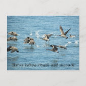 ガチョウの飛んでいる群れの動く発表 案内ポストカード (正面)