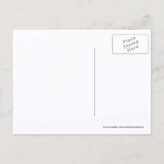 ガチョウの飛んでいる群れの動く発表 案内ポストカード (裏面)