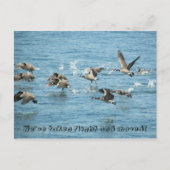 ガチョウの飛んでいる群れの動く発表 案内ポストカード (正面)