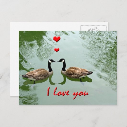 ガチョウは愛でつなぎます- 「私は」ハート愛します ポストカード (正面/裏面)
