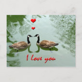 ガチョウは愛でつなぎます- 「私は」ハート愛します ポストカード (正面)