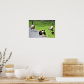 ガチョウを怒らせる ポスター (キッチン)