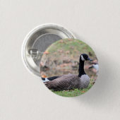 ガチョウ帽 缶バッジ (正面&裏面)