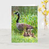 ガチョウ横断 カード (黄色い花)