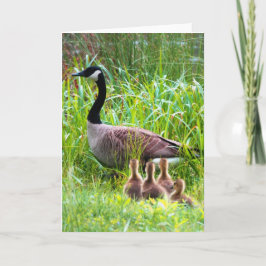 ガチョウ横断 カード