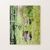 ガチョウ科 ジグソーパズル (縦)