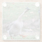 ガチョウ間抜け ガラスコースター (裏面)