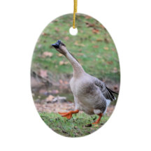 ガチョウ間抜け