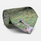 ガチョウ間抜け ネクタイ (ロール)