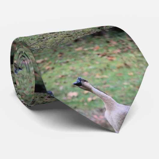 ガチョウ間抜け ネクタイ (ロール)