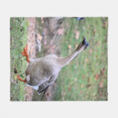 ガチョウ間抜け フリースブランケット (正面(横))