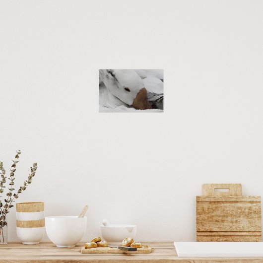 ガチョウ顔 ポスター (キッチン)