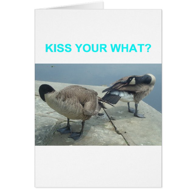 ガチョウ (正面)