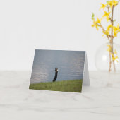 ガチョウ カード (黄色い花)