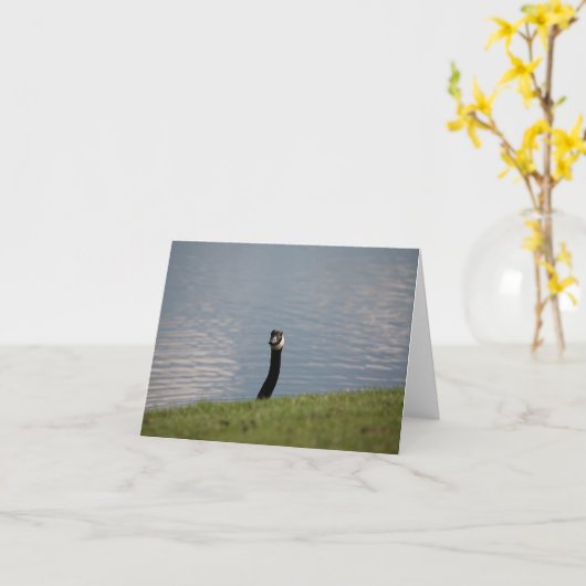 ガチョウ カード (黄色い花)