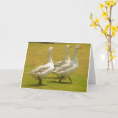 ガチョウ カード (黄色い花)