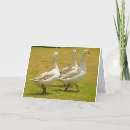 ガチョウ カード (正面)