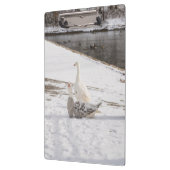 ガチョウ クリップボード (左)