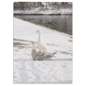 ガチョウ クリップボード (裏面)