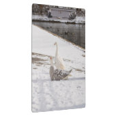 ガチョウ クリップボード (右)