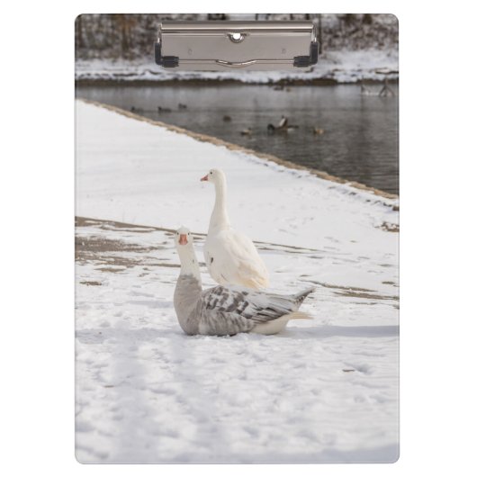 ガチョウ クリップボード (正面)