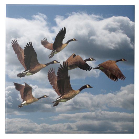 ガチョウ タイル (正面)