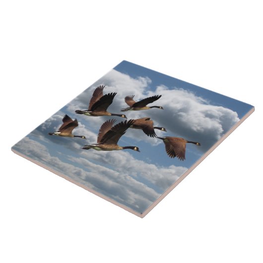 ガチョウ タイル (側面)