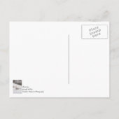 ガチョウ ポストカード (裏面)