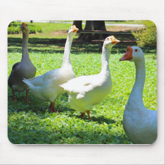 ガチョウ マウスパッド