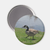 ガチョウ マグネット (正面/裏面)