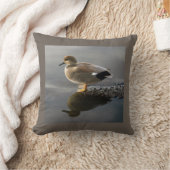 ガッドウェルダックタウペスクエア クッション (ブランケット)