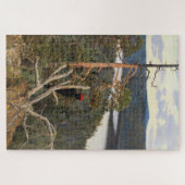 ガッレン・カレラ - 黒背木鶏 1894 ジグソーパズル (横)