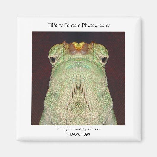 ガツプロモーション マグネット (正面)