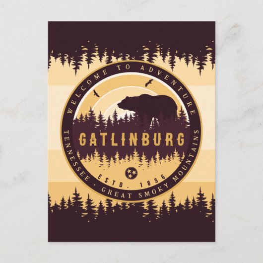 ガトリンバーグテネシーベアーパインツリーズ自然 ポストカード (正面)