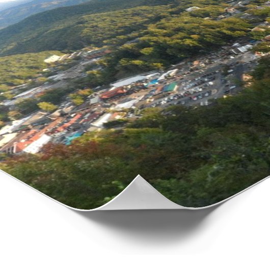 ガトリンバーグ ポスター (角)