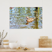 ガドゥルアヒル ポスター (キッチン)