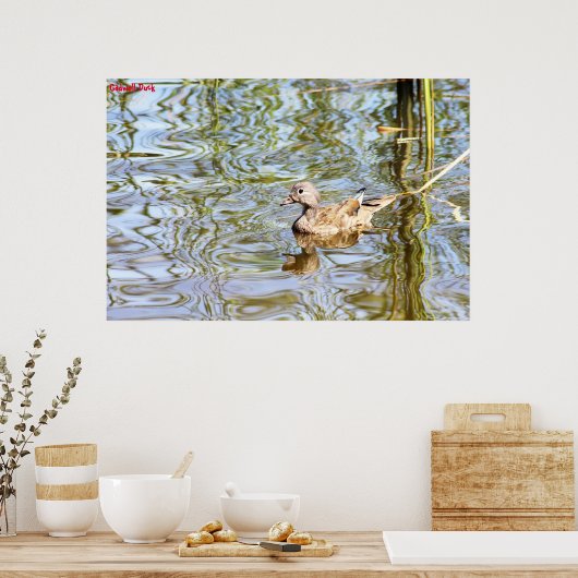 ガドゥルアヒル ポスター (キッチン)