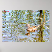 ガドゥルアヒル ポスター (正面)