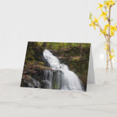 ガノガ滝 – 秋2018 カード (黄色い花)