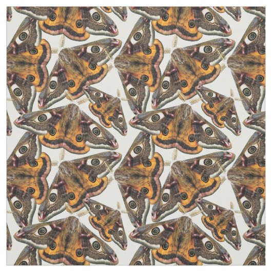 ガパターン ファブリック (見本)