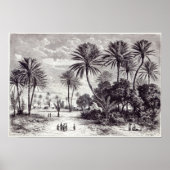 ガフサのオアシス:チュニス ポスター (正面)