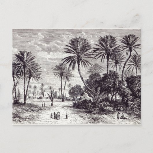 ガフサのオアシス:チュニス ポストカード (正面)