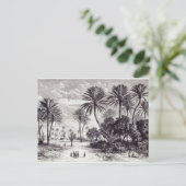 ガフサのオアシス:チュニス ポストカード (スタンド正面)