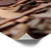 ガブーン・ビパー・スネーク写真 ポスター (角)