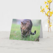 ガベ カード (黄色い花)