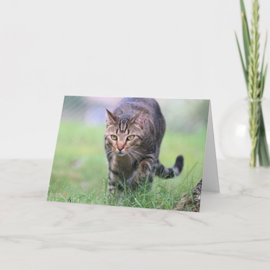 ガベ カード (正面)