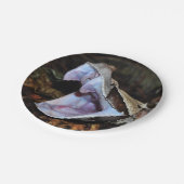 ガボンの毒蛇 ペーパープレート (アングル)