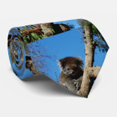 ガムの木の中のコアラベアに警告しろ。 ネクタイ (ロール)