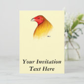 ガムコック吹き替え 招待状 (スタンド正面)